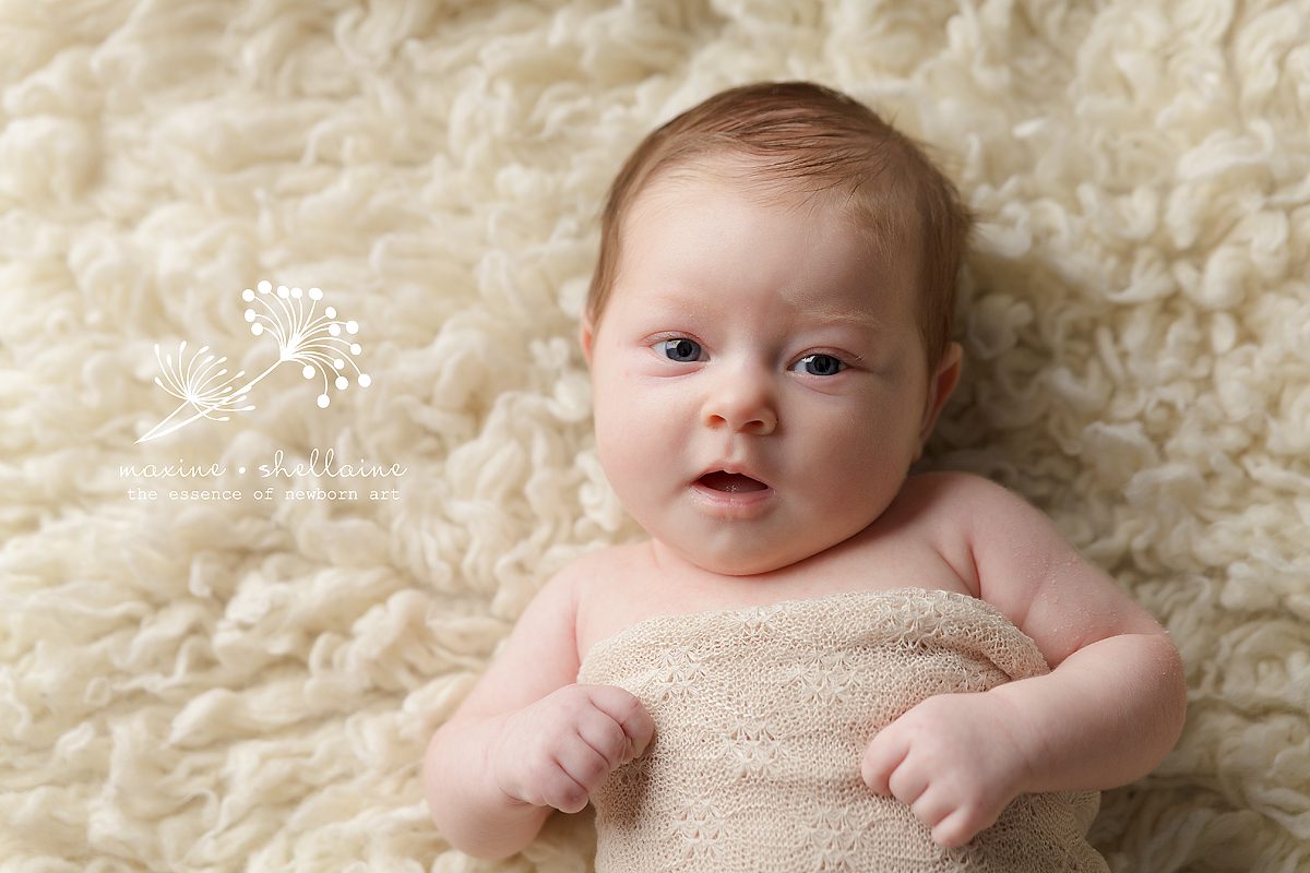 edmonton-baby-photographer-8-week-old-baby-n-maxine-shellaine