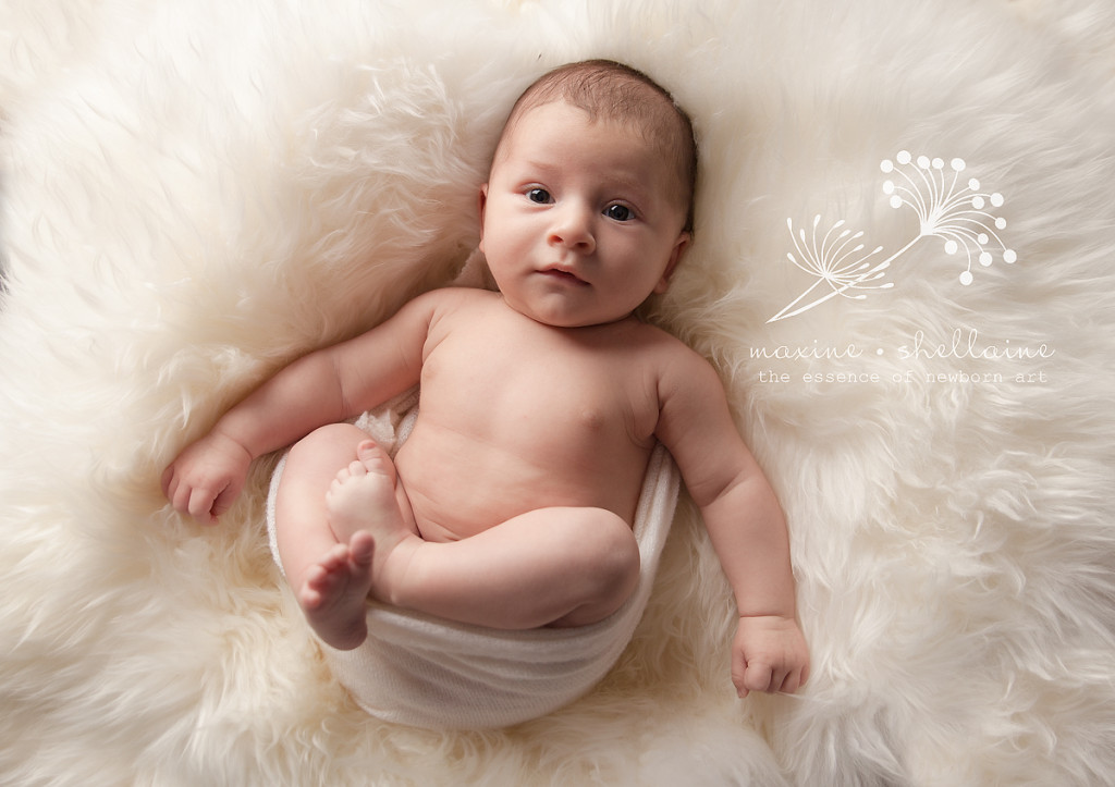 alt=8 week old baby portraits