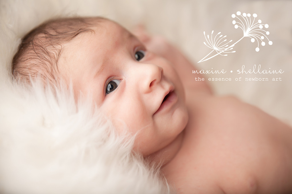 alt=8 week old baby portraits