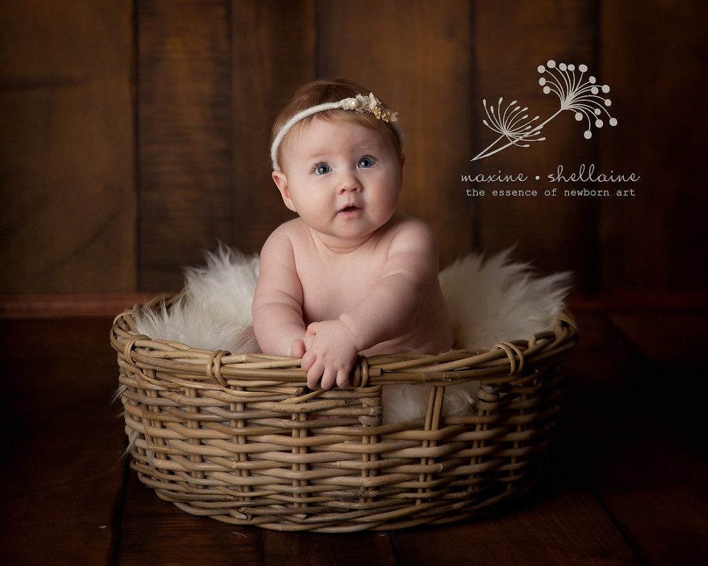 alt=6 month old baby, alt=Edmonton baby portraits, alt=studio baby pictures