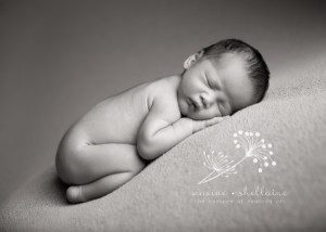 alt=St.Albert newborn photographer