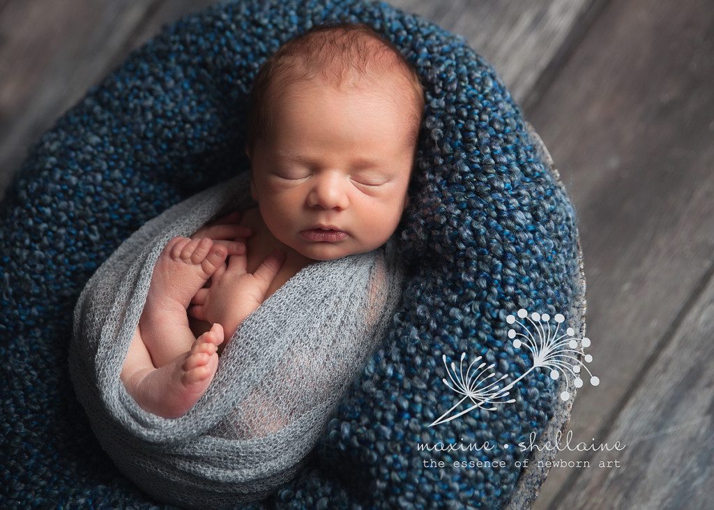 St.Albert Newborn Photography, alt=newborn in blue, alt=studio light newborn photography