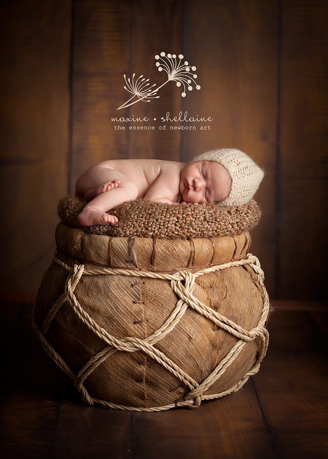 St.Albert Newborn Photography, alt=newborn on canvas bucket, alt=studio light newborn photography