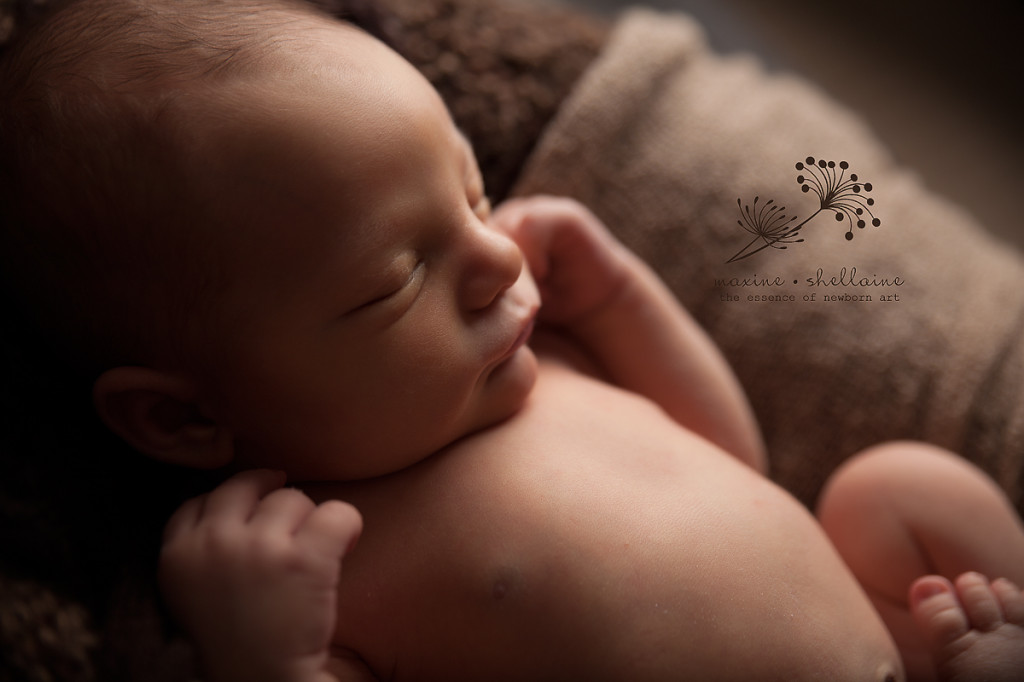alt=baby on brown prop, alt=Edmonton newborn photographers