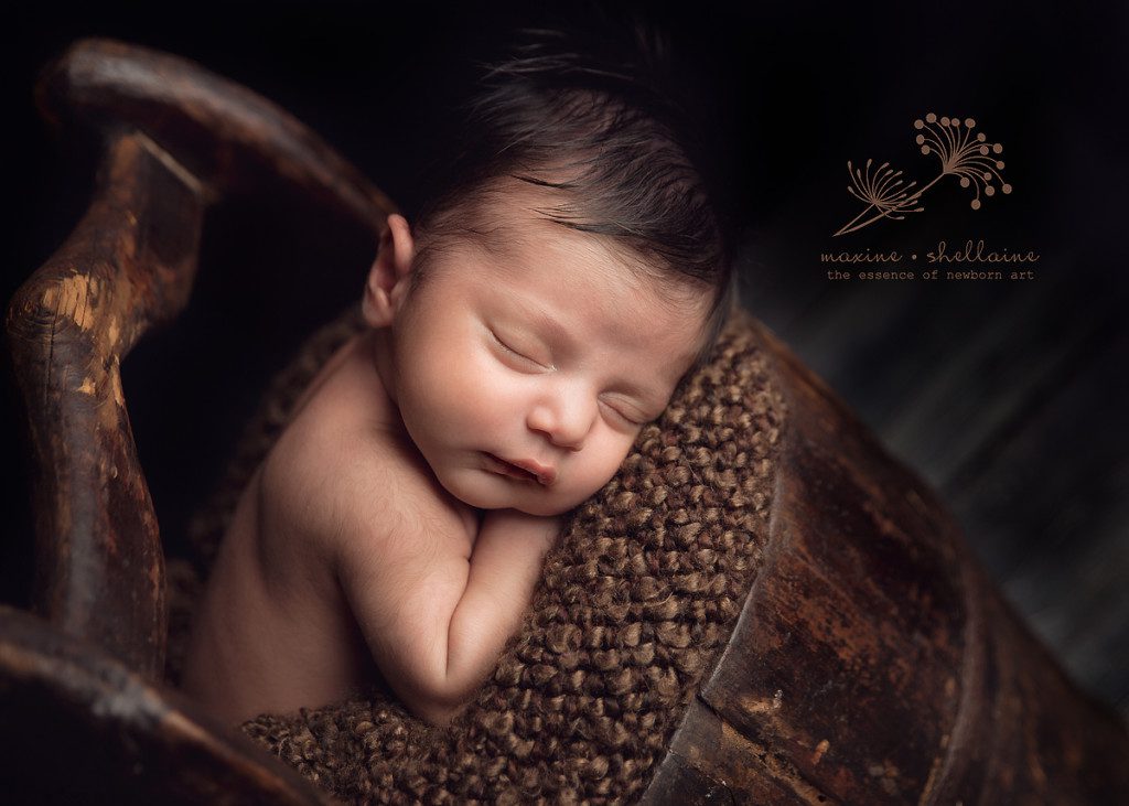 alt=newborn in bucket, alt=newborn neutral portraits, alt=21 day old newborn, alt=Edmonton newborn photographer