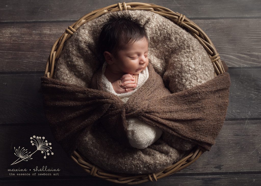 alt=newborn in basket, alt=newborn neutral portraits, alt=21 day old newborn, alt=Edmonton newborn photographer