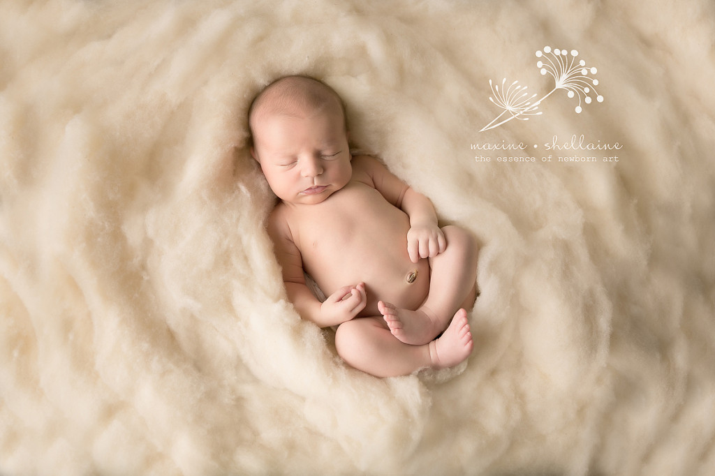 Alt=Newborn Sleeping on Fluff, Alt=Edmonton Newborn Photographers