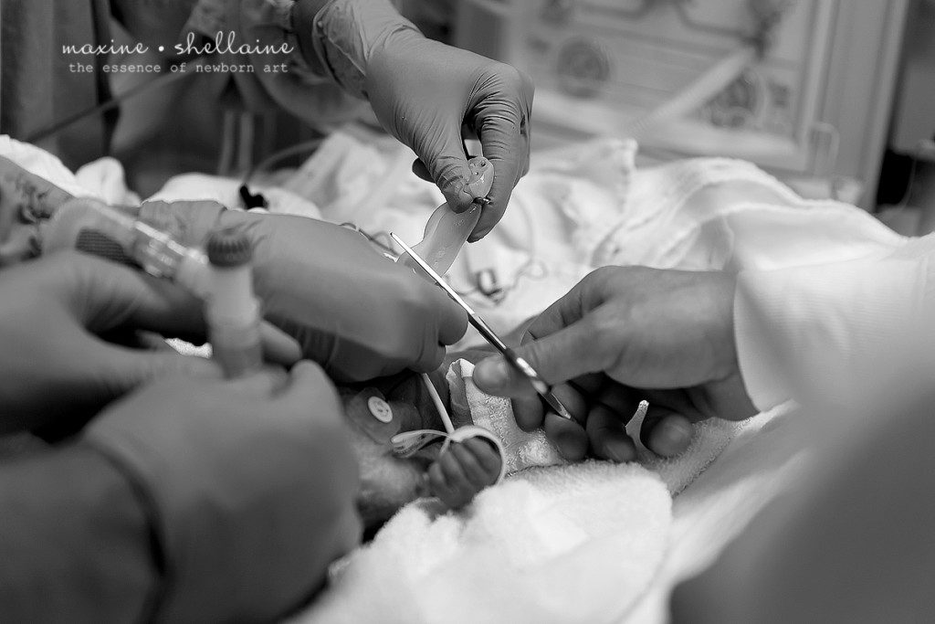 Alt=Edmonton Birth Photographers, Alt=Edmonton Newborn Photographers, Alt=Edmonton baby photographers