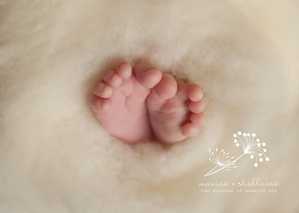 alt=Athabasca Newborn Photographer
