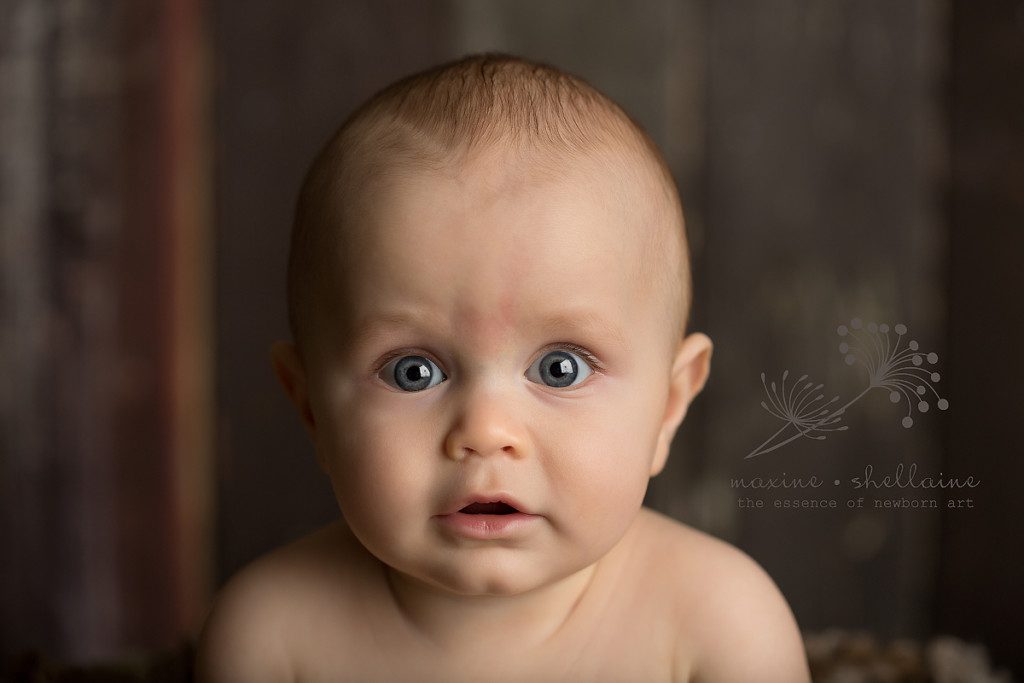 alt=edmonton baby photographer, alt=7 month baby picture, alt=7 month boy