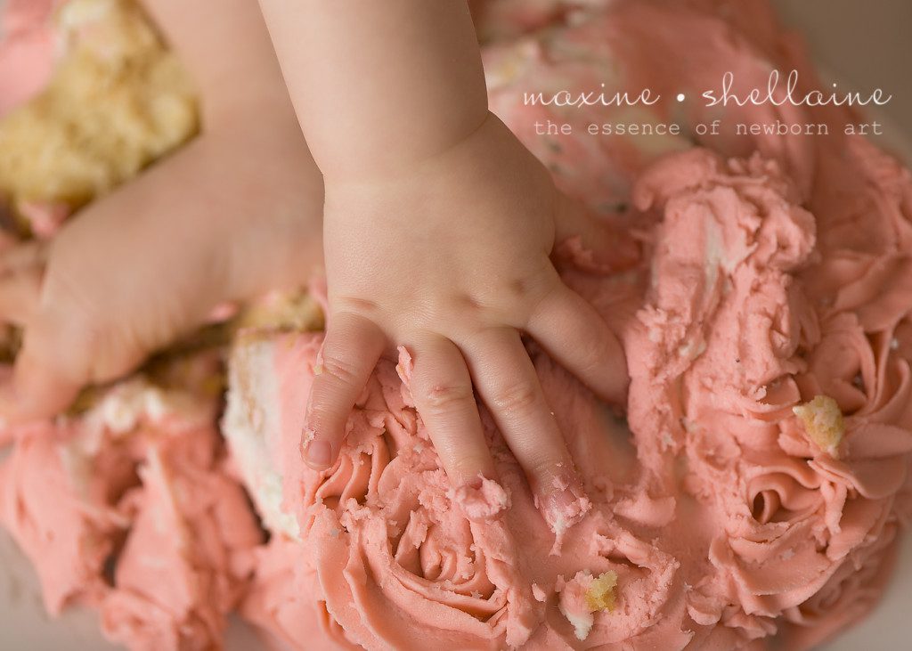 Alt=One Year Old Cakesmash, Alt=Best Edmonton Newborn Photographer, Alt=Pink Smash Cake