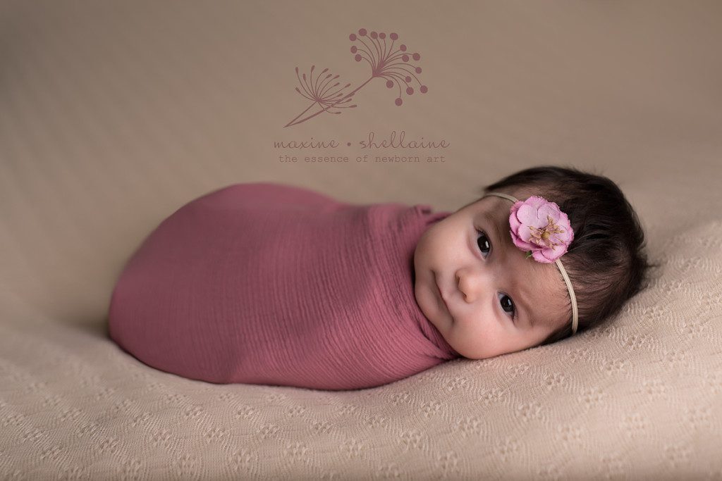 alt=3 month baby session, alt=Edmonton baby photographer, alt=baby portraits, alt= 3 month baby wrapped in pink