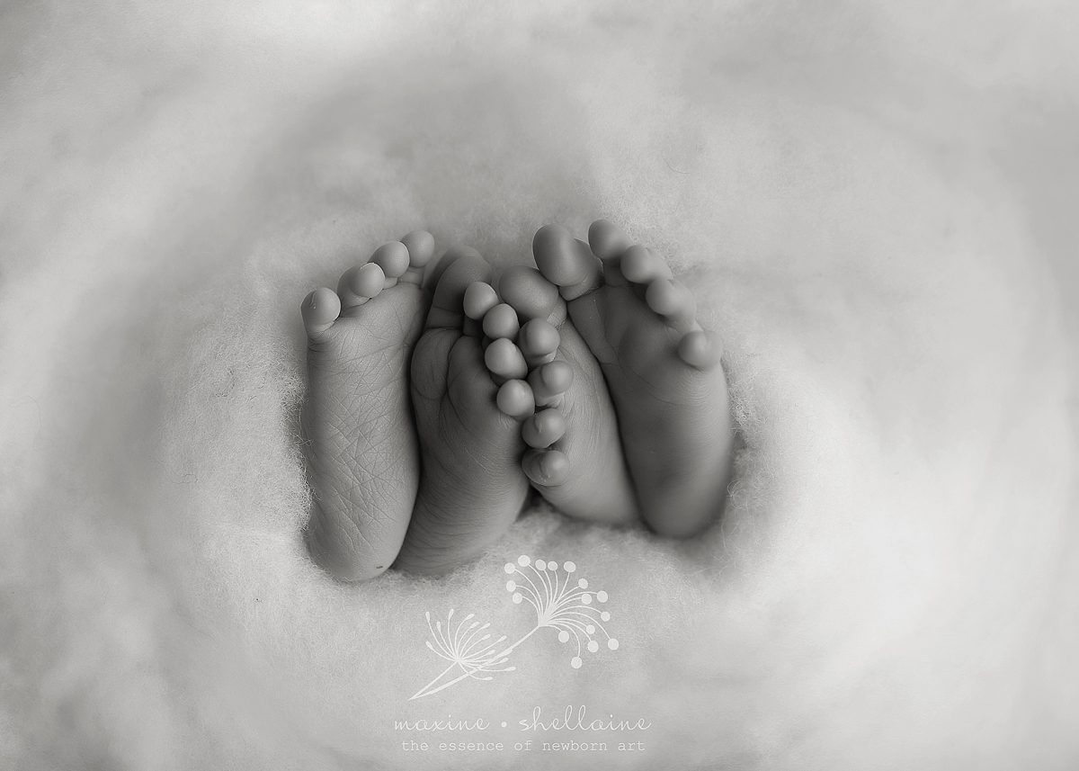 alt=Best newborn photographer Edmonton, alt=Spruce Grove baby photographer, alt=studio newborn photography, alt=posed newborn pictures