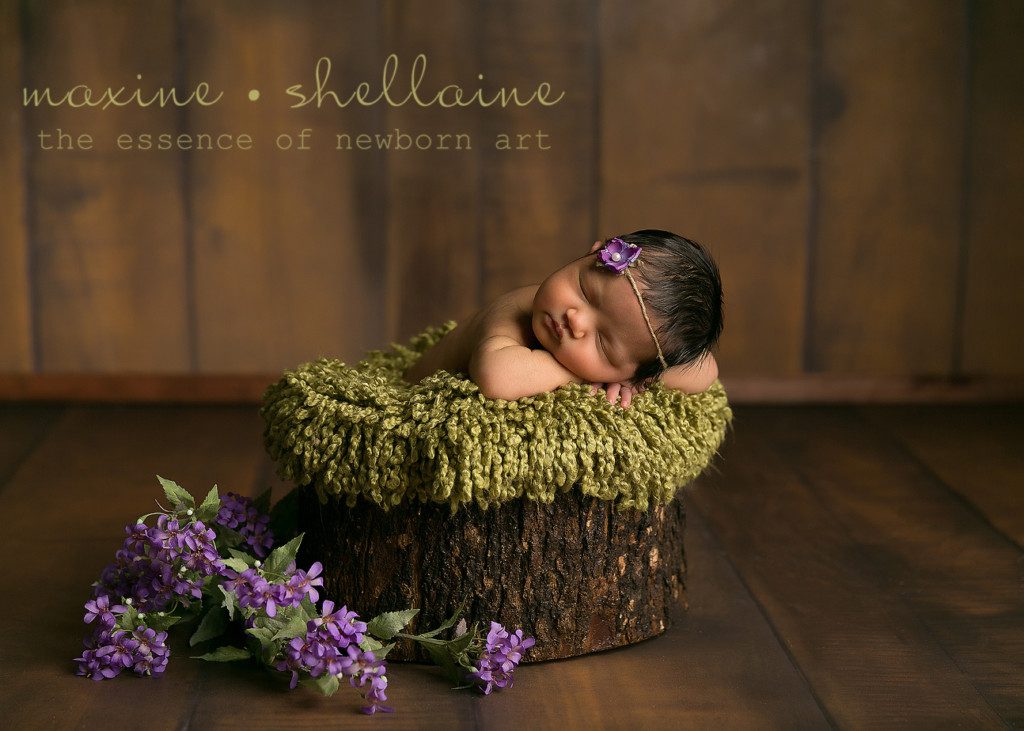 Alt=Albert Newborn Photography Workshop, Alt=baby photography courses, Alt=maternity photography workshop