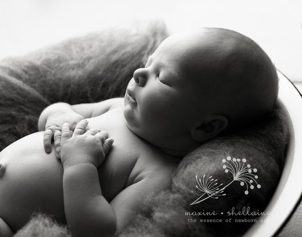 alt=black and white newborn photography, alt=backlit newborn photography 