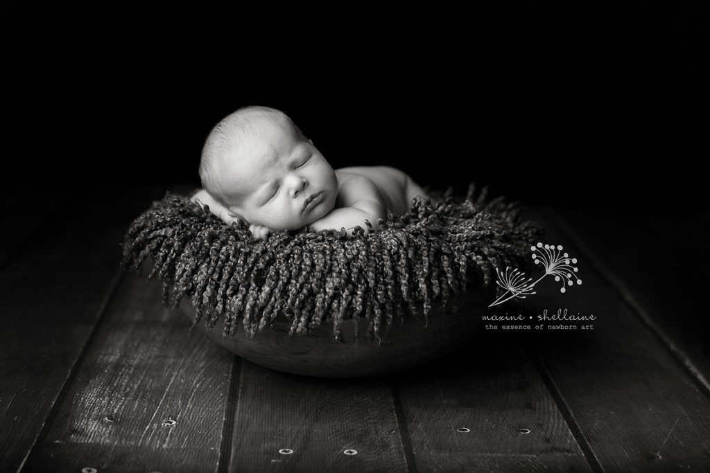 alt=black and white newborn photography, alt=newborn face forward in bowl