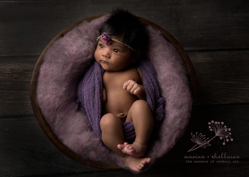 alt=Spruce Grove Newborn Photographer, alt=baby in bowl, alt=purple newborn set