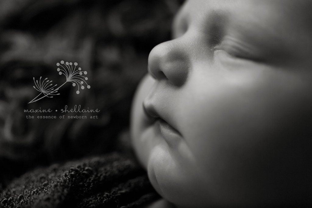 alt=Using Shadows in Newborn Portraits, alt=newborn photography workshop