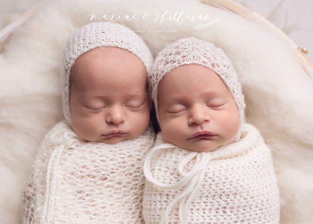 https://maxineandshellaine.com/2017/07/07/twin-newborn-photography-edmonton/