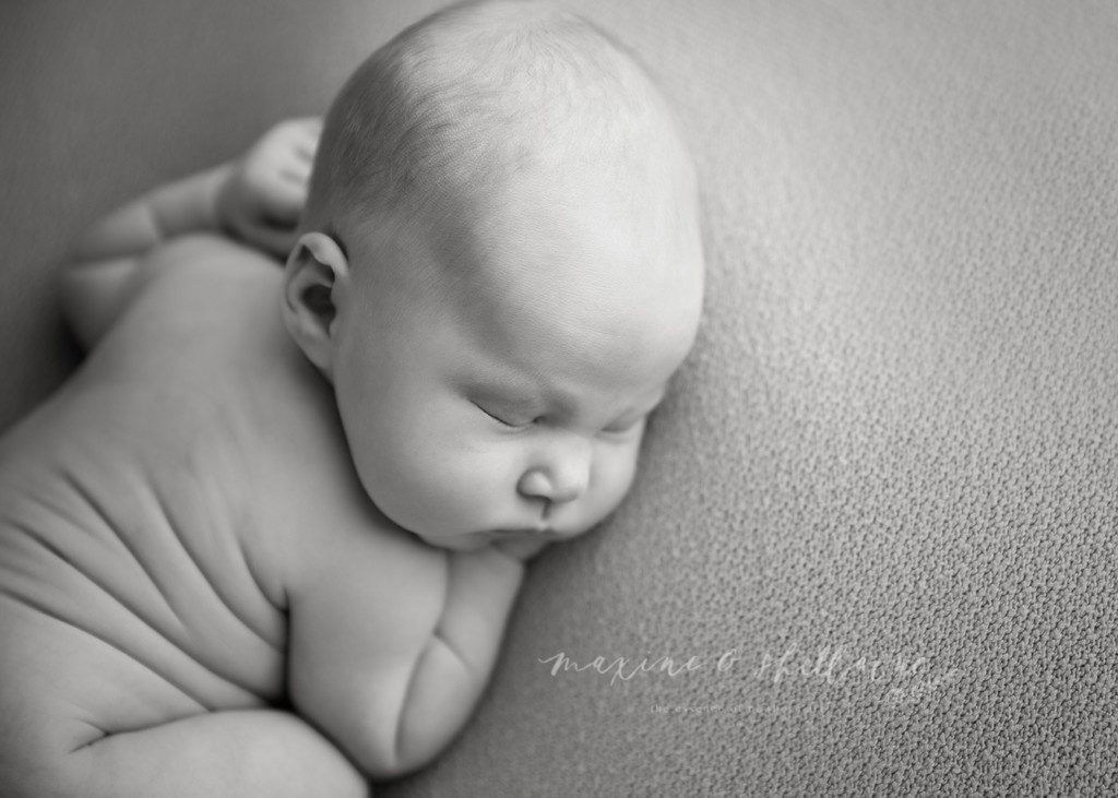 alt=professional newborn photographers in Edmonton, alt=newborn photography, alt=newborn photographers in Edmonton, alt=Edmonton Newborn Photographers
