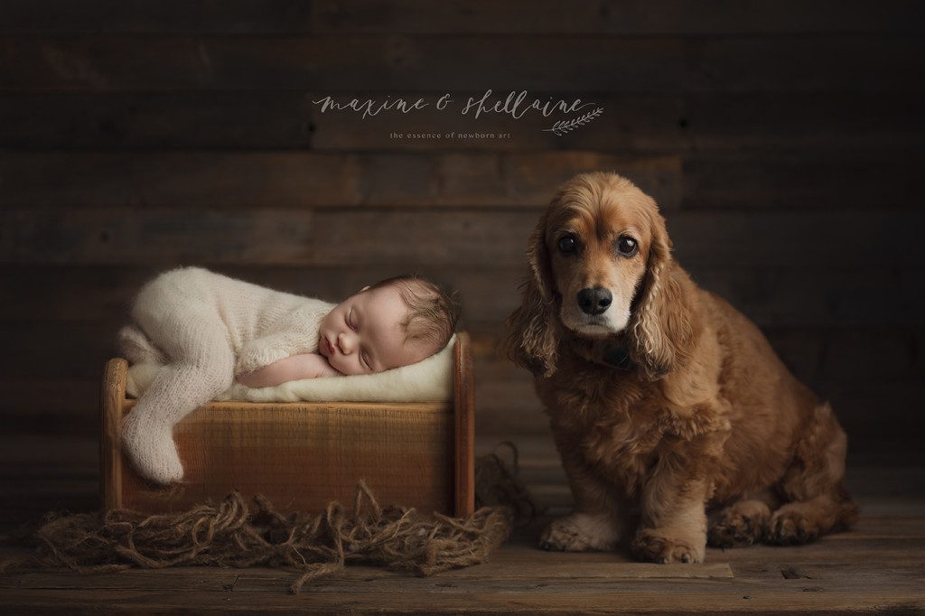 alt=Newborn Photographer in Edmonton, alt=premium newborn session, alt=rustic newborn props, alt=puppy and baby images, alt=Edmonton newborn studio