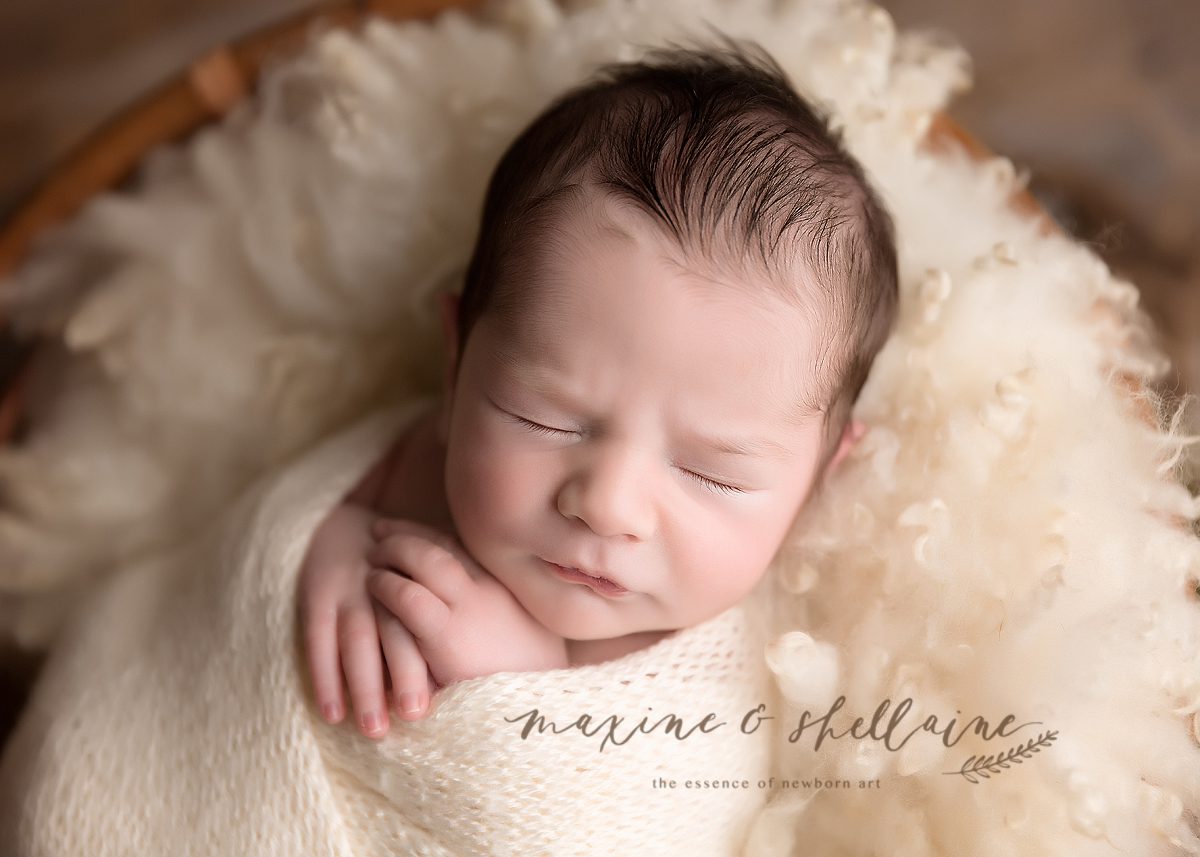 =best time to book newborn photos, alt=newborn photographer, alt=newborn photos, alt=professional photographer, alt=Edmonton Newborn Photographers