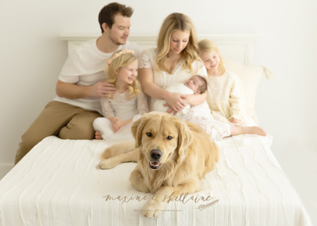 alt=family photography, alt=siblings in newborn photos, alt=golden retriever in photos, alt=baby and family photography session, alt=dog friendly photography studios