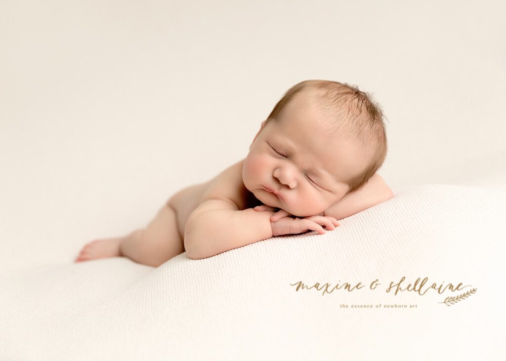 alt=seamless blanket photography set, alt=newborn photography bean bag set alt=face forward newborn pose