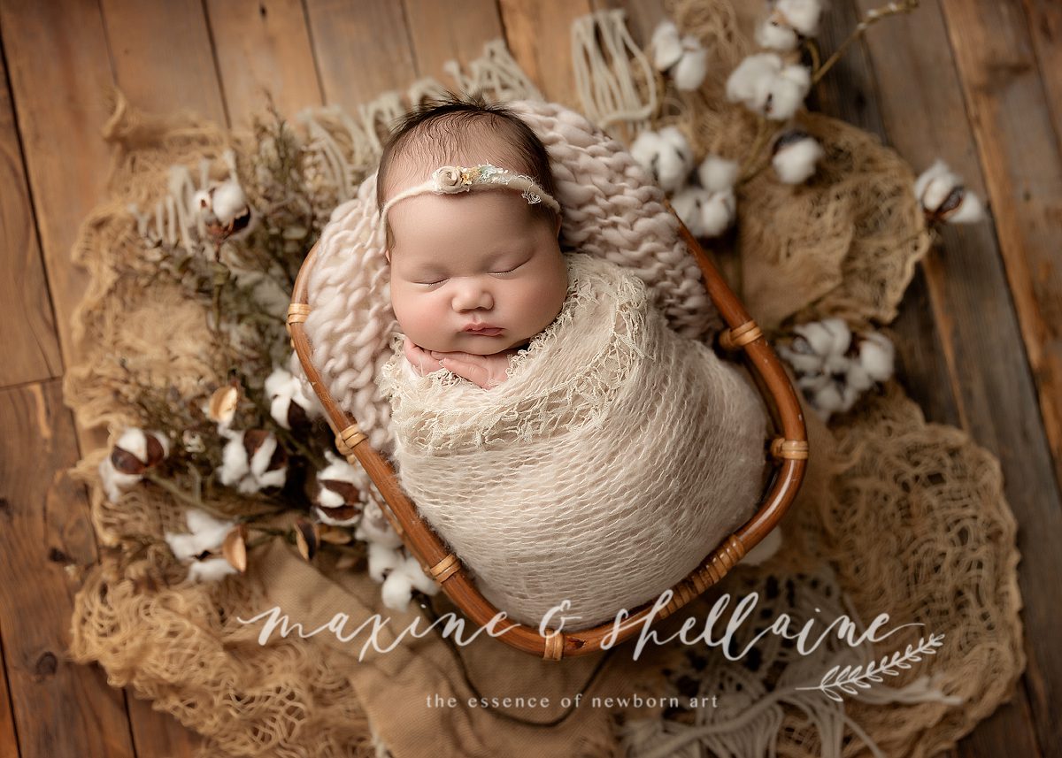 alt=YEG photography studio