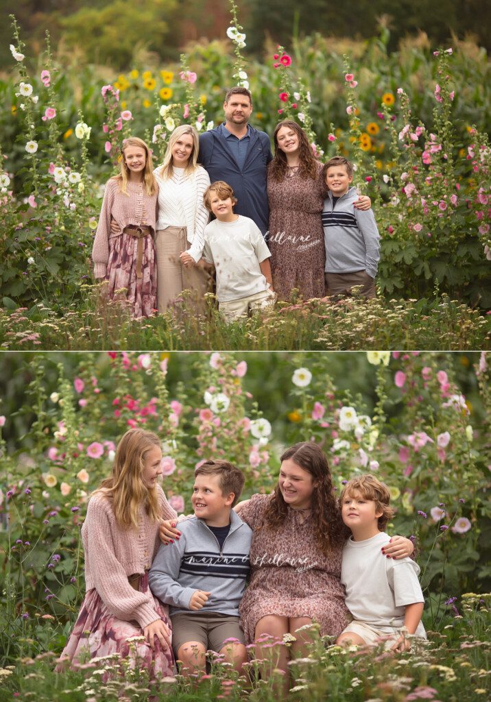 alt=Family sitting together among flowers at Fern’s Flowers in Edmonton during sunset photography session