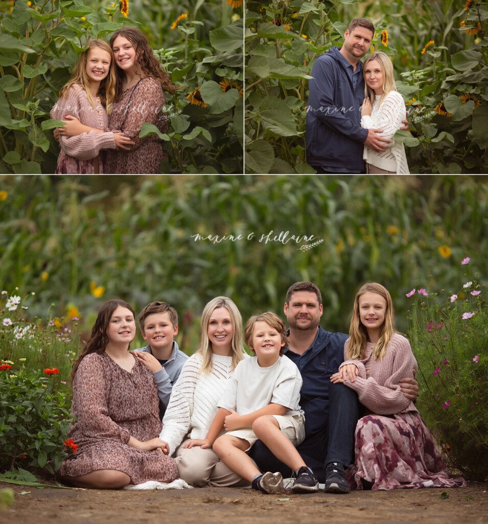 alt="Siblings laughing together during a flower farm photo session near Edmonton